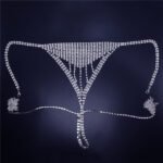 Shiny Rhinestone Body Chain Exaggerated Mesh Sexy Bra And Panty Set - Image 5