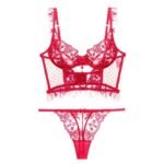 Gathering Beauty Back Sheer Embroidered Lace Bra Ladies Panty Set - Image 5